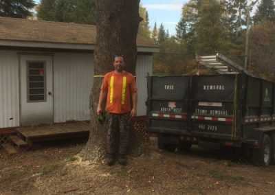 Tree removal process