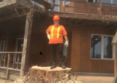Tree removal process