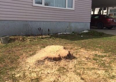 stump grinding and removal